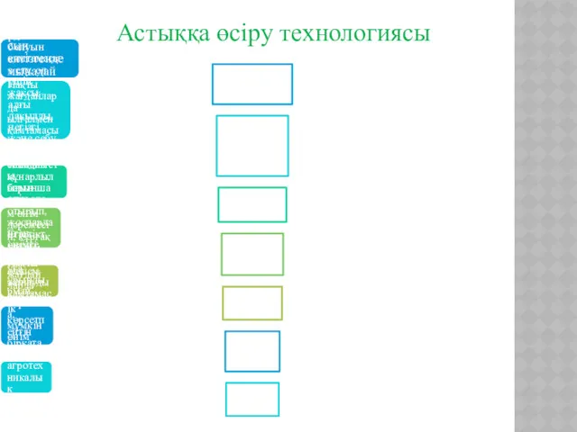 Астыққа өсіру технологиясы Жүгері өсірудің интенсивті технологиясын енгізгенде мынадай негізгі мәселелер шешілуге тиіс: