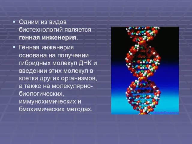 Одним из видов биотехнологий является генная инженерия. Генная инженерия основана на получении гибридных