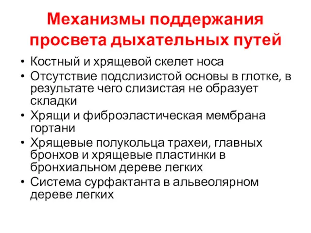 Механизмы поддержания просвета дыхательных путей Костный и хрящевой скелет носа