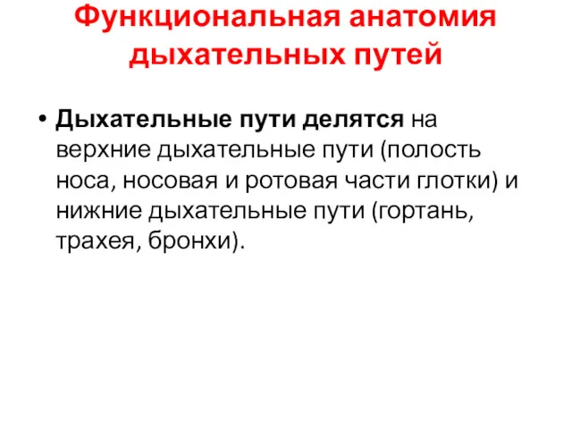 Функциональная анатомия дыхательных путей Дыхательные пути делятся на верхние дыхательные