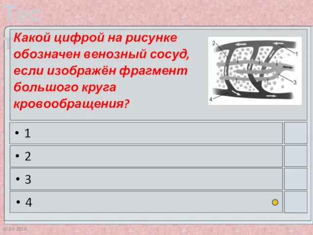 10.04.2016 Какой цифрой на рисунке обозначен венозный сосуд, если изображён