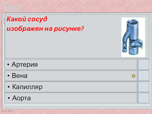 10.04.2016 Какой сосуд изображен на рисунке? Артерия Вена Капилляр Аорта