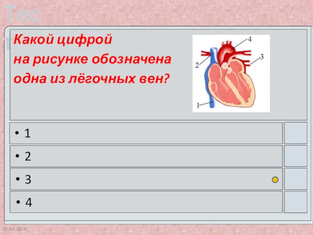 10.04.2016 Какой цифрой на рисунке обозначена одна из лёгочных вен? 1 2 3 4