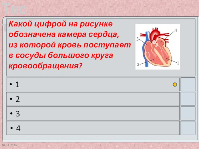 10.04.2016 Какой цифрой на рисунке обозначена камера сердца, из которой