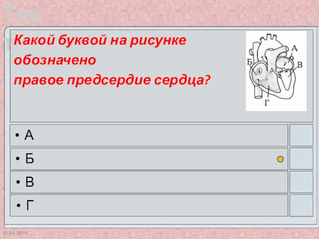 10.04.2016 Какой буквой на рисунке обозначено правое предсердие сердца? А Б В Г