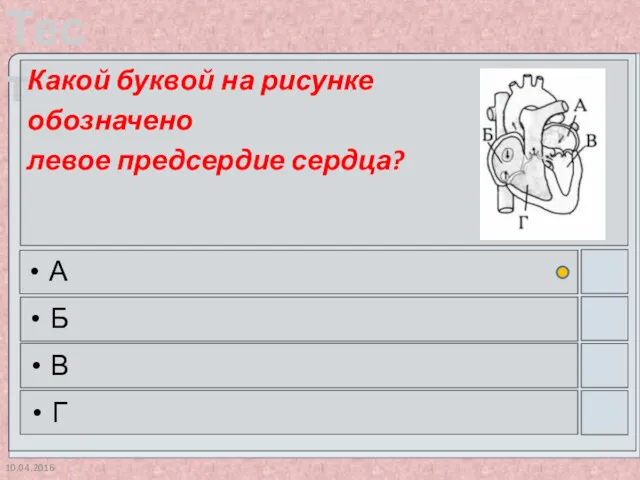 10.04.2016 Какой буквой на рисунке обозначено левое предсердие сердца? А Б В Г