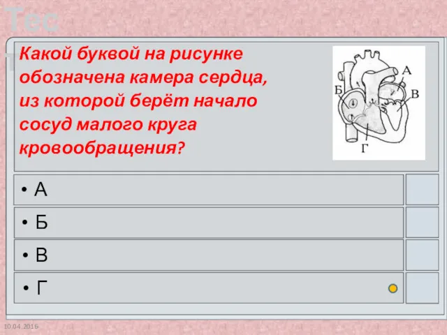 10.04.2016 Какой буквой на рисунке обозначена камера сердца, из которой