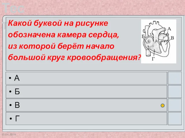 10.04.2016 Какой буквой на рисунке обозначена камера сердца, из которой