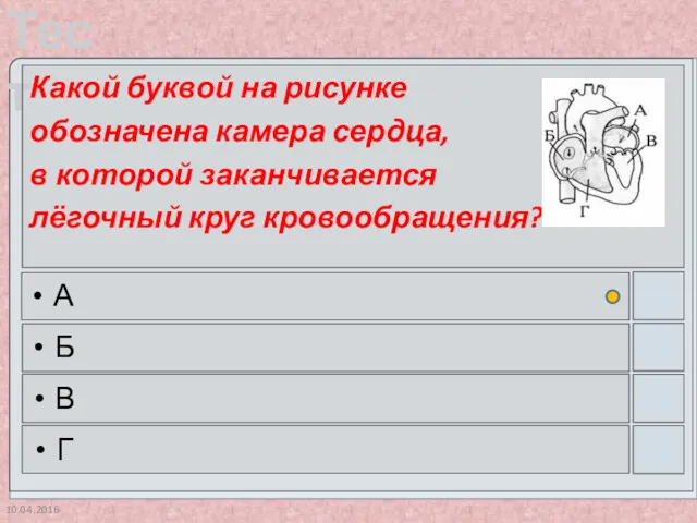 10.04.2016 Какой буквой на рисунке обозначена камера сердца, в которой