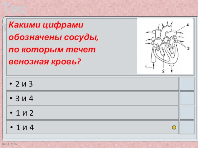 10.04.2016 Какими цифрами обозначены сосуды, по которым течет венозная кровь?