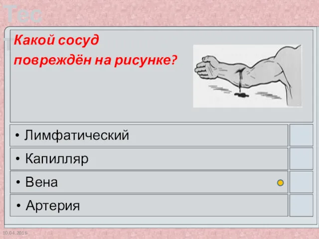 10.04.2016 Какой сосуд повреждён на рисунке? Лимфатический Капилляр Вена Артерия