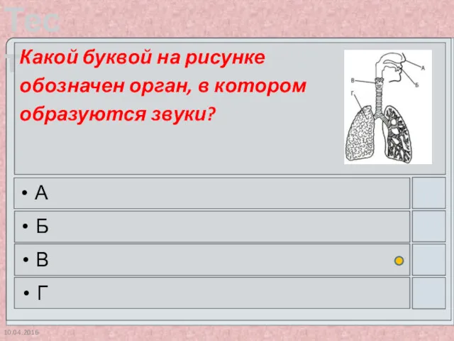 10.04.2016 Какой буквой на рисунке обозначен орган, в котором образуются звуки? А Б В Г