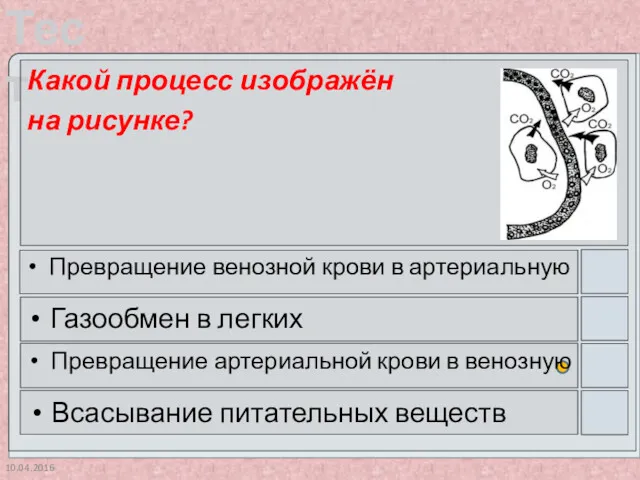 10.04.2016 Какой процесс изображён на рисунке? Превращение венозной крови в