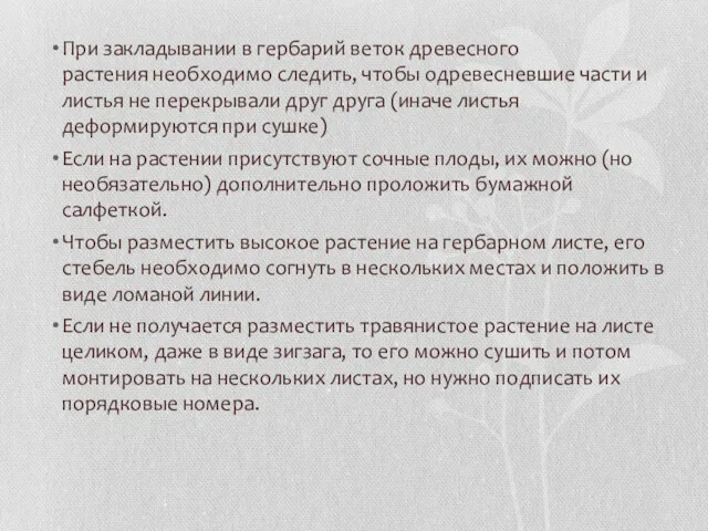 При закладывании в гербарий веток древесного растения необходимо следить, чтобы