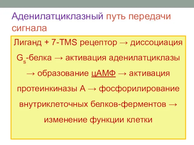 Аденилатциклазный путь передачи сигнала Лиганд + 7-TMS рецептор → диссоциация