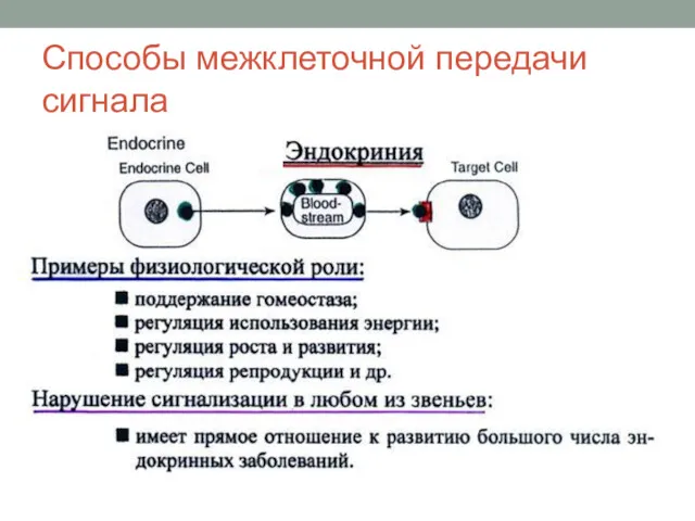 Способы межклеточной передачи сигнала