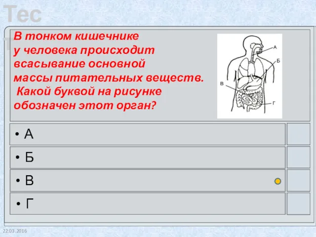 22.03.2016 В тонком кишечнике у человека происходит всасывание основной массы питательных веществ. Какой