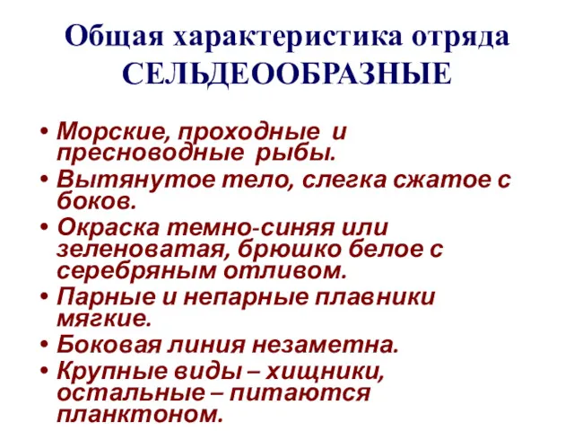 Общая характеристика отряда СЕЛЬДЕООБРАЗНЫЕ Морские, проходные и пресноводные рыбы. Вытянутое