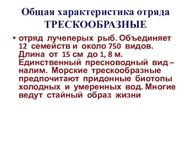 Общая характеристика отряда ТРЕСКООБРАЗНЫЕ отряд лучеперых рыб. Объединяет 12 семейств