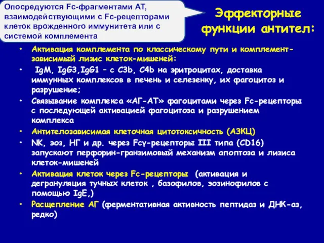 Эффекторные функции антител: Активация комплемента по классическому пути и комплемент-зависимый