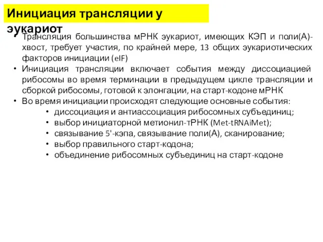 Инициация трансляции у эукариот Трансляция большинства мРНК эукариот, имеющих КЭП