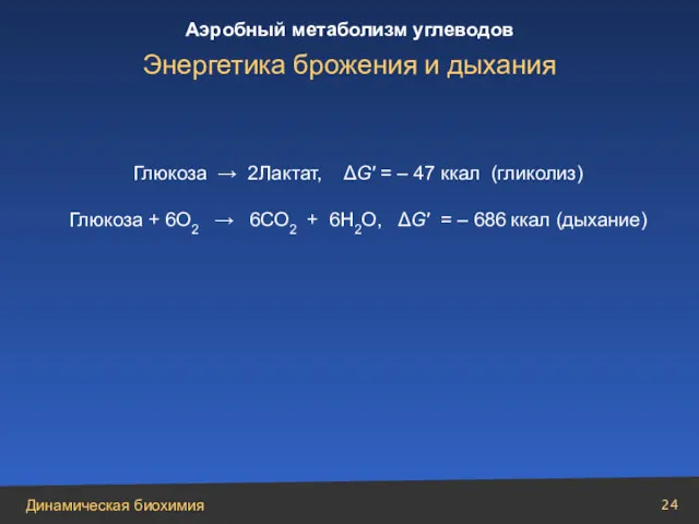 Глюкоза → 2Лактат, ΔG′ = – 47 ккал (гликолиз) Глюкоза