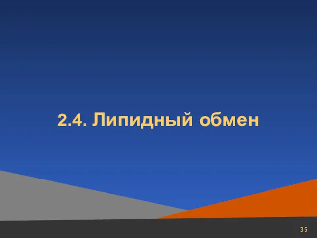 2.4. Липидный обмен