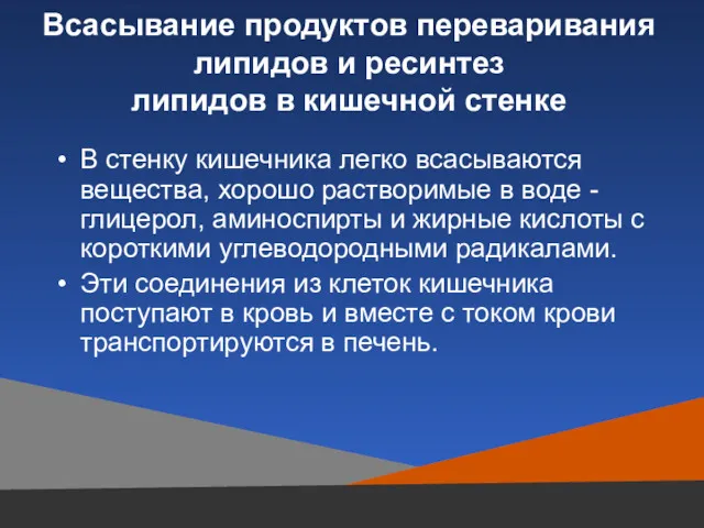 Всасывание продуктов переваривания липидов и ресинтез липидов в кишечной стенке