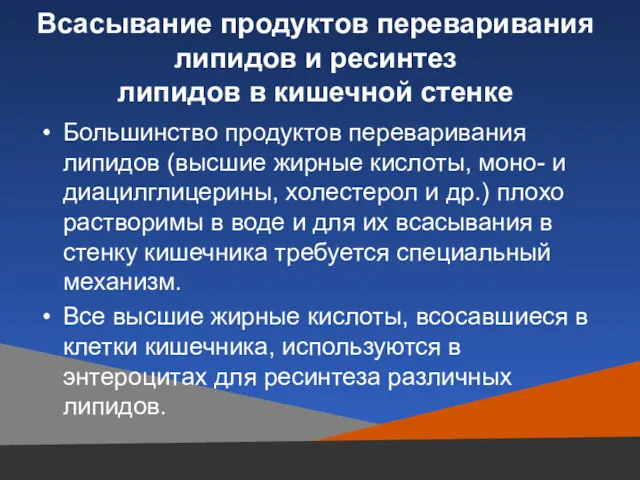 Всасывание продуктов переваривания липидов и ресинтез липидов в кишечной стенке