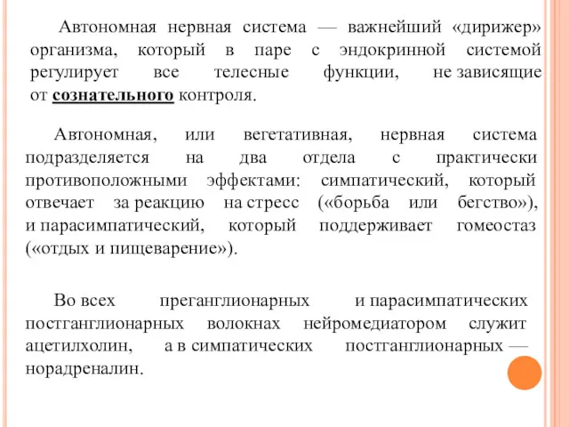 Автономная нервная система — важнейший «дирижер» организма, который в паре