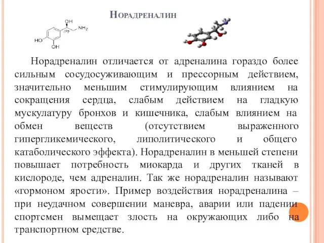 Норадреналин отличается от адреналина гораздо более сильным сосудосуживающим и прессорным