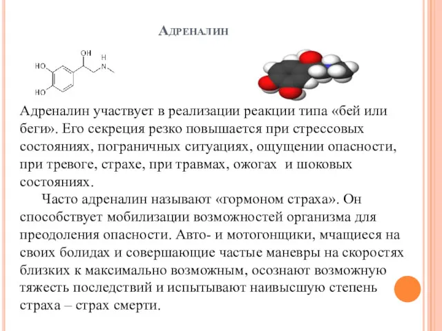 Адреналин участвует в реализации реакции типа «бей или беги». Его