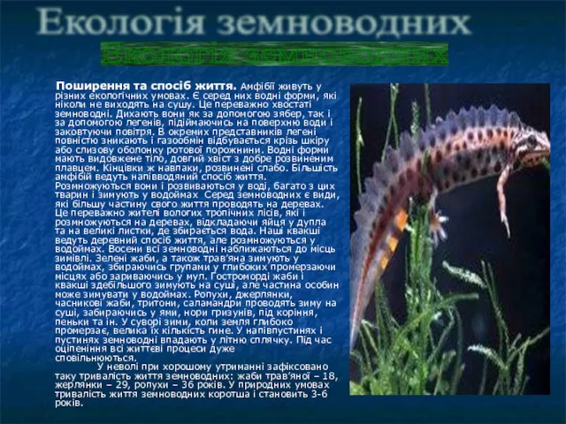 Поширення та спосіб життя. Амфібії живуть у різних екологічних умовах.