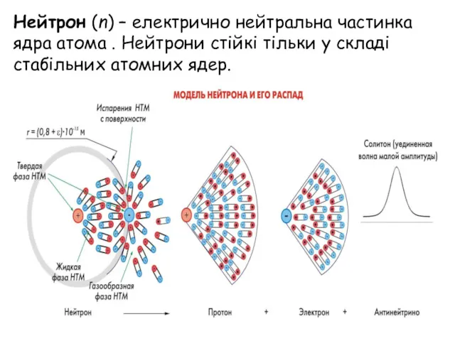 Нейтрон (n) – електрично нейтральна частинка ядра атома . Нейтрони