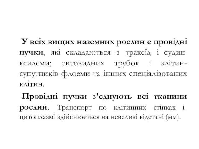 У всіх вищих наземних рослин є провідні пучки, які складаються