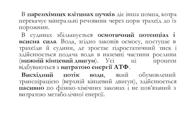 В паренхімних клітинах пучків діє інша помпа, котра перекачує мінеральні