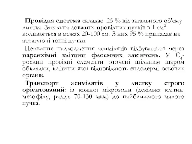 Провідна система складає 25 % від загального об'єму листка. Загальна