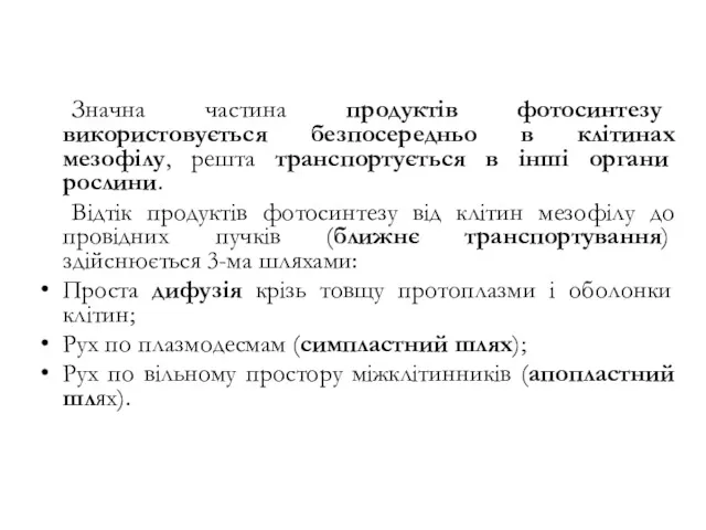 Значна частина продуктів фотосинтезу використовується безпосередньо в клітинах мезофілу, решта