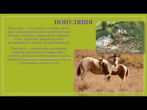 ПОПУЛЯЦІЯ Популяція — це сукупність особин одного виду, які відтворюють