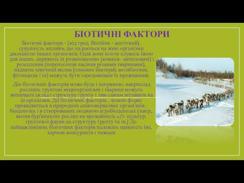 БІОТИЧНІ ФАКТОРИ Біотичні фактори - (від грец. Biotikos - життєвий),