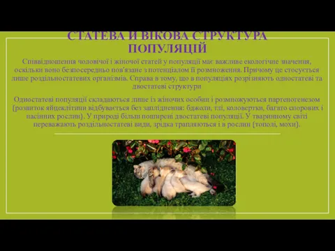 СТАТЕВА Й ВІКОВА СТРУКТУРА ПОПУЛЯЦІЙ Співвідношення чоловічої і жіночої статей