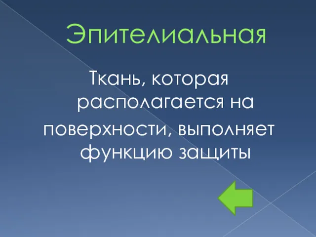 Эпителиальная Ткань, которая располагается на поверхности, выполняет функцию защиты