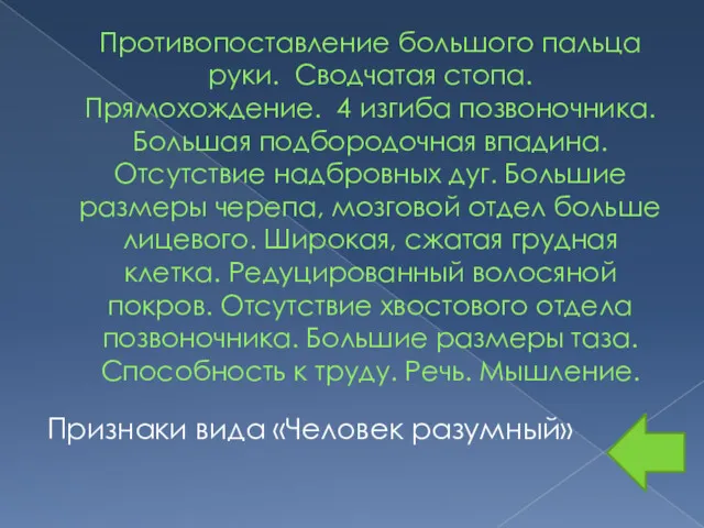 Противопоставление большого пальца руки. Сводчатая стопа. Прямохождение. 4 изгиба позвоночника.