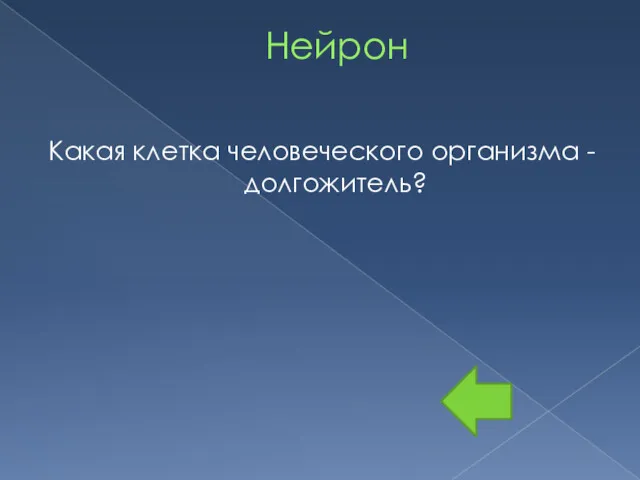 Нейрон Какая клетка человеческого организма - долгожитель?