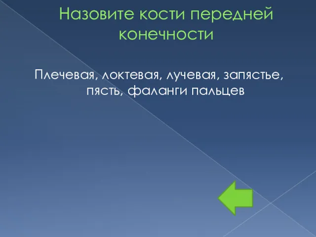 Назовите кости передней конечности Плечевая, локтевая, лучевая, запястье, пясть, фаланги пальцев