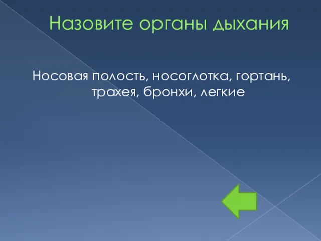 Назовите органы дыхания Носовая полость, носоглотка, гортань, трахея, бронхи, легкие