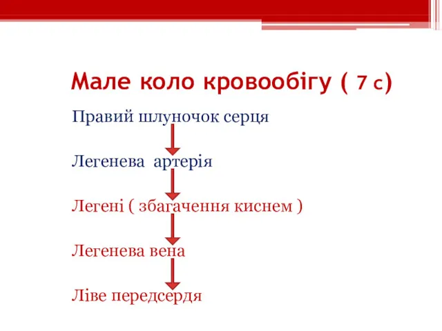 Мале коло кровообігу ( 7 с) Правий шлуночок серця Легенева