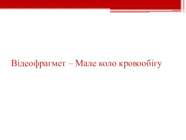 Відеофрагмет – Мале коло кровообігу