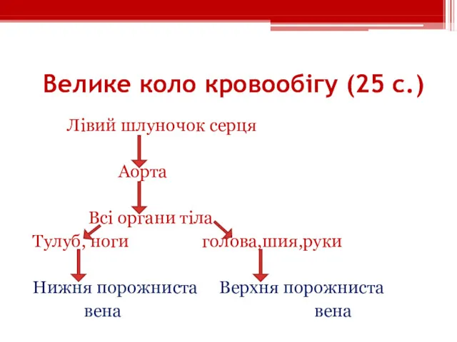 Велике коло кровообігу (25 с.) Лівий шлуночок серця Аорта Всі