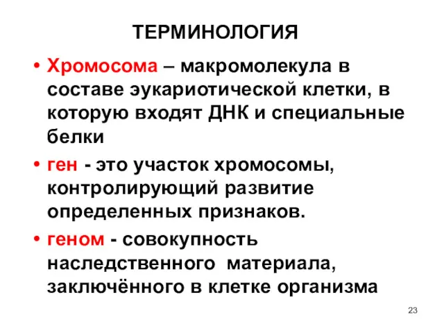 ТЕРМИНОЛОГИЯ Хромосома – макромолекула в составе эукариотической клетки, в которую